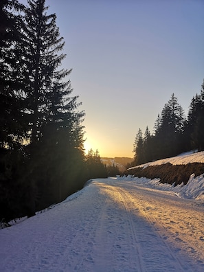 Snow and ski sports