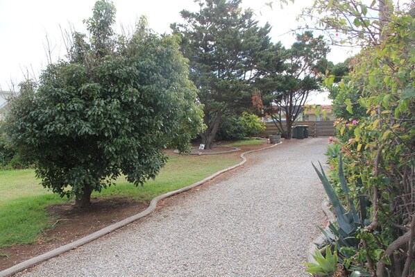 Plenty of parking in the fully fenced and secure property