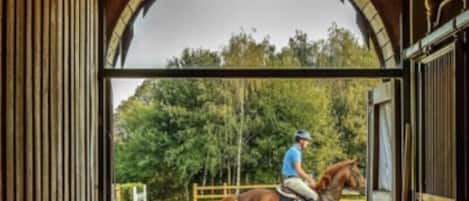 Horse rental and riders welcome