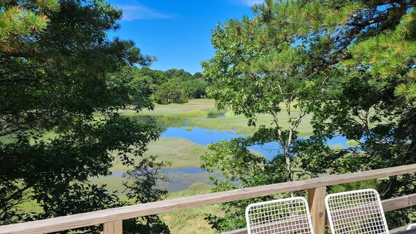 Enjoy the wonderful water views from the deck here at high tide