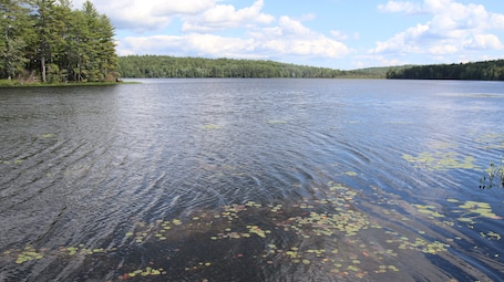 154 Acre sportsman's Pond, for fishing & boating. Flat boards to swim off.