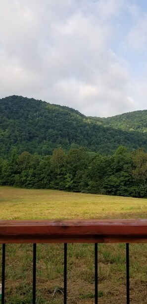 Vue depuis l’hébergement 