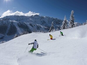 Desportos de neve e esqui