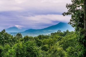 Spectacular mountain views from the cabin's deck!