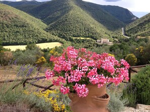 Terrain de l’hébergement 