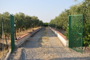 Εξωτερικός χώρος καταλύματος