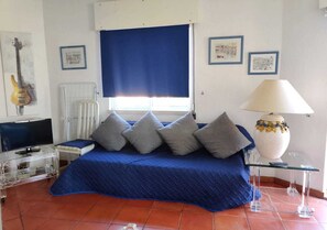 Sofa-bed & TV