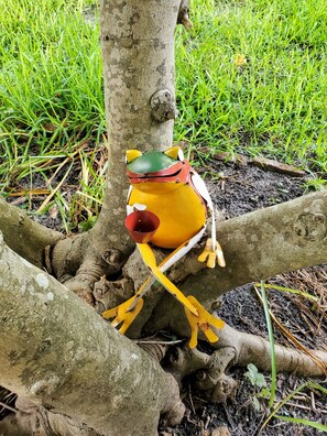 Jardines del alojamiento