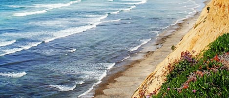 Spectacular Views overlooking the Ocean. Dolphins are feeding around 5 pm daily