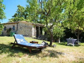 Plante, Meubles, Communauté Des Plantes, Arbre, Ombre, Mobilier De Jardin, Paysage Naturel, Fenêtre, Table, Lot Terre