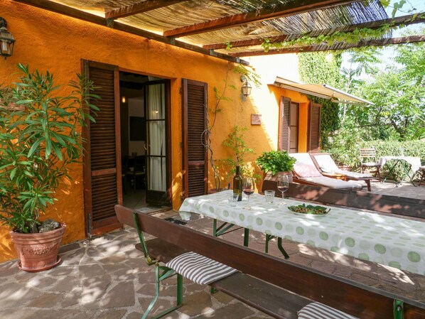 Plant, Table, Furniture, Property, Building, Flowerpot, Houseplant, Chair, Wood, Window