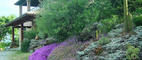 Jardines del alojamiento