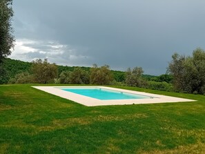 Pool and olive trees