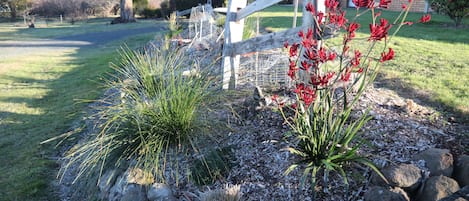 Jardines del alojamiento