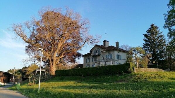 Exteriör