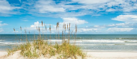 Gorgeous Amelia Island Beach 1 block from our front door!
