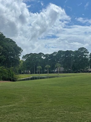 So many beautiful golf courses