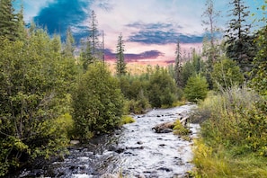Walk to Colorado River