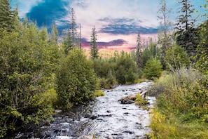 Walk to Colorado River