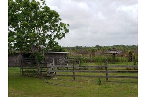 Terrain de l’hébergement 