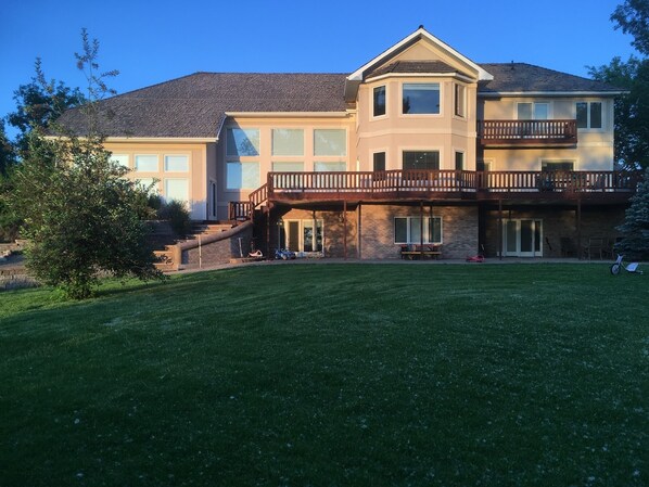 Back yard