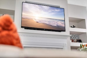Television