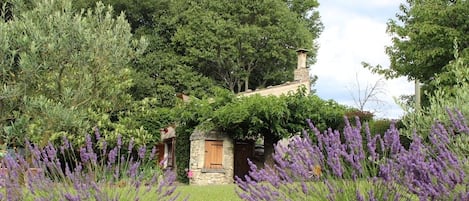 Jardines del alojamiento