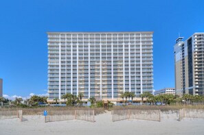 Take a walk on the beach and look for seashells or shark's teeth.