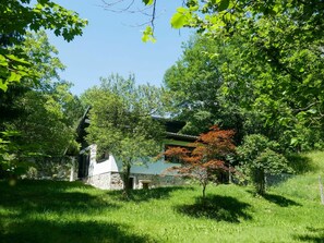 Pflanze, Himmel, Natürliche Landschaft, Schatten, Baum, Ast, Grundstueck, Gras, Haus, Kofferraum