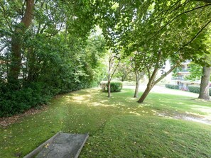 Pflanze, Baum, Natürliche Landschaft, Schatten, Strassenbelag, Grundstueck, Gras, Ground, Kofferraum, Landschaft