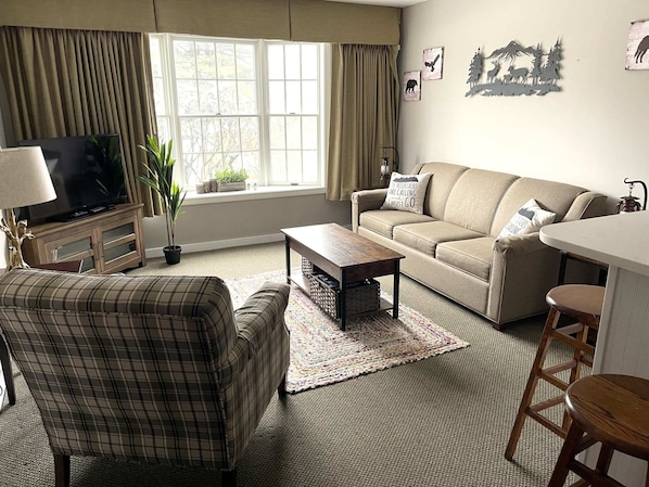 Comfortable Living Room with Pullout Queen Sofa Bed and Smart TV with Full DVD Library and Board Game library for those nights in.