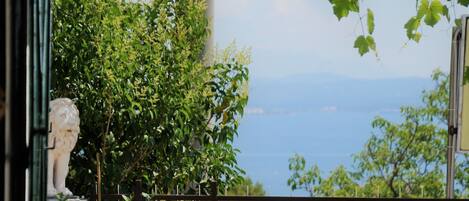 Terrace with the sea view surrounded with Mediterranean greenery.