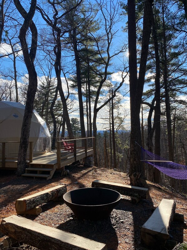 Geo-dome nestled in the pines along a ravine with large firepit