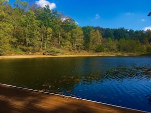 View from the dock's swim platform.  Enjoy the wildlife and your morning coffee.