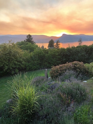 Lush gardens surround your outdoor living space.