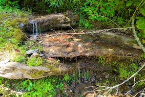 Terrain de l’hébergement 