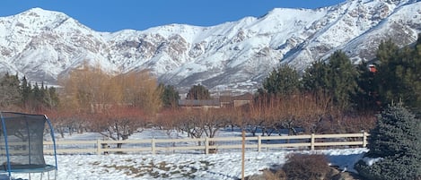 Mt. Ben Lomond to the left of Picture 9,711 feet.  Orchard adjacent to property 