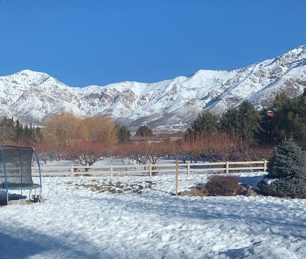 Mt. Ben Lomond to the left of Picture 9,711 feet.  Orchard adjacent to property 