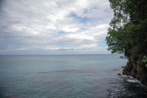 Beach/ocean view