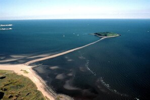 Charles Island walk during low tide a must see!