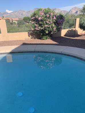 Pool view when desert rose bush is in bloom.