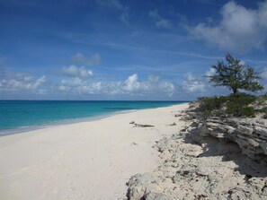 Just a 15 minute walk to North beach from Harbourside House