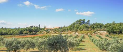 Domaine de Conillières