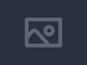 BXJ6NFMD-image-6