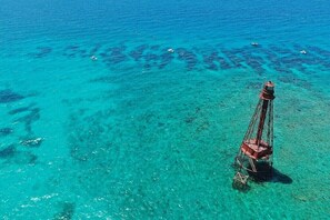 World-class snorkeling at Sombrero Reef 