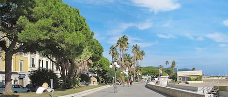 Nube, Cielo, Pianta, Giorno, Proprietà, Costruzione, Infrastruttura, Manto Stradale, Albero, Architettura