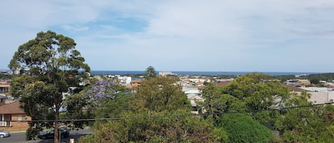 View from balcony and front windows