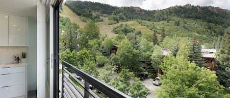 View from the living room. That is Aspen Mountain to the left.