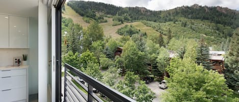 View from the living room.  That is Aspen Mountain to the left.
