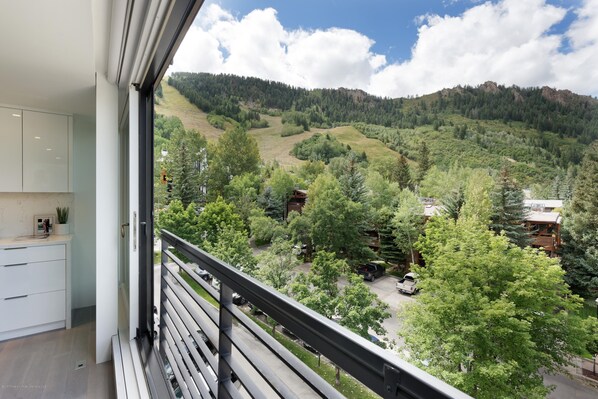 View from the living room.  That is Aspen Mountain to the left.
